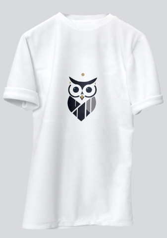 Wisdom in Shapes -T8